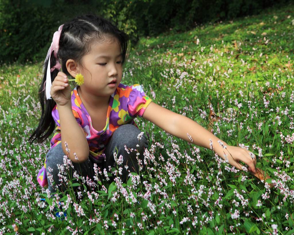 小花 摄影 蕊宝贝