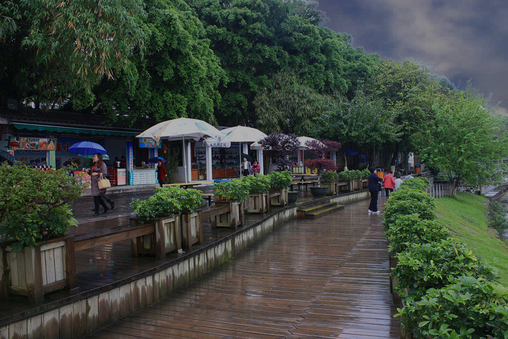 雨中游园2 摄影 gongmf