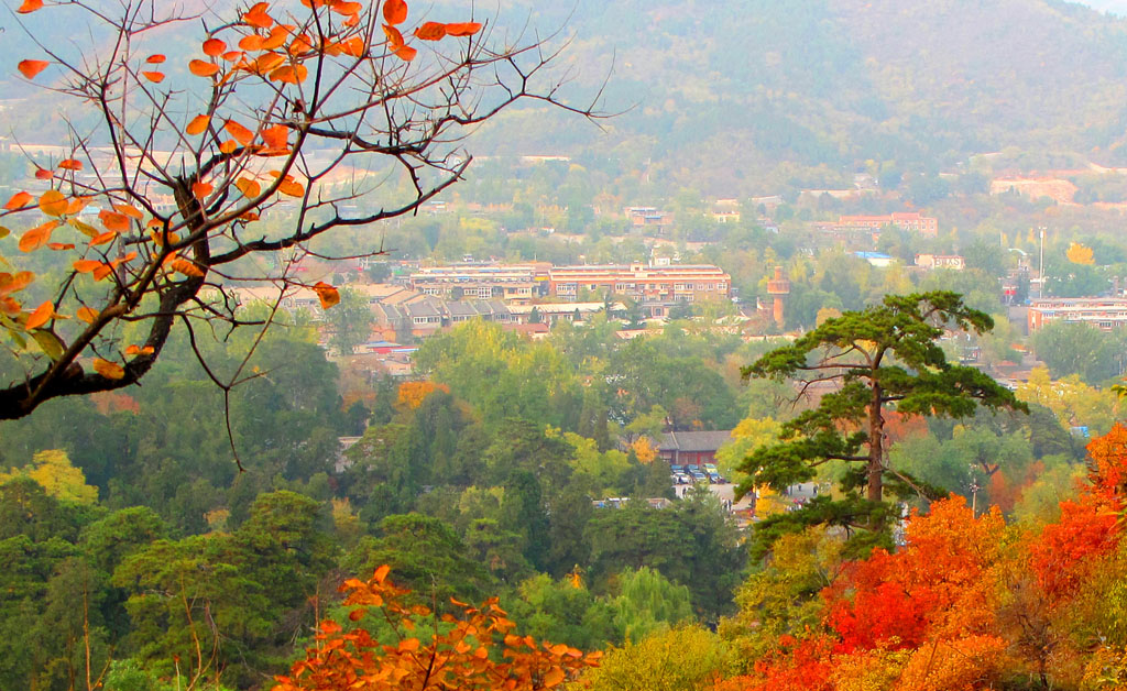 金秋-4 摄影 黑水白山