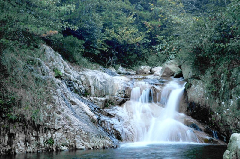 水韵 枯井园 摄影 紫杜鹃