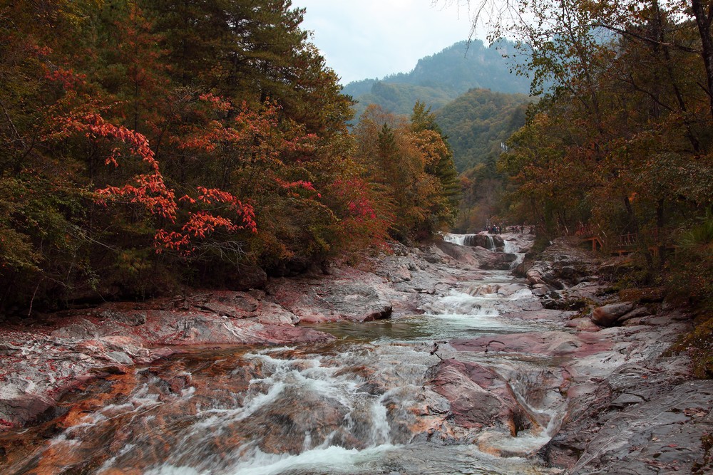 美啊秋景-秦岭黄柏塬 摄影 liyan