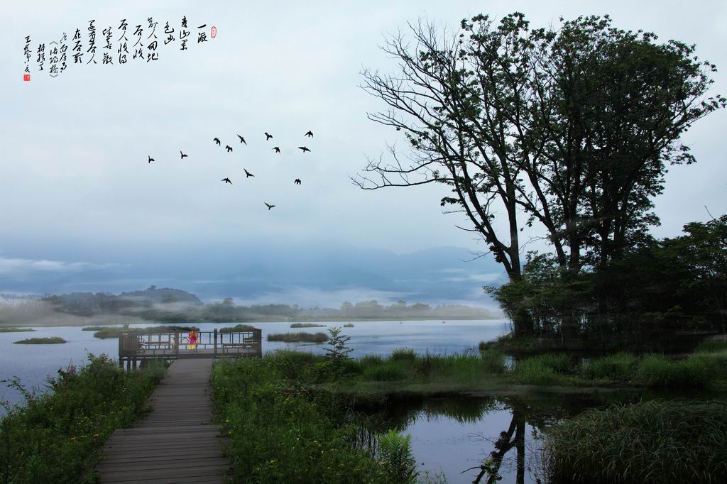 大九湖风光 摄影 蕊宝贝