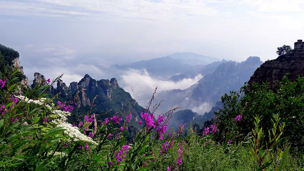 白石山之夏 摄影 南哥定影