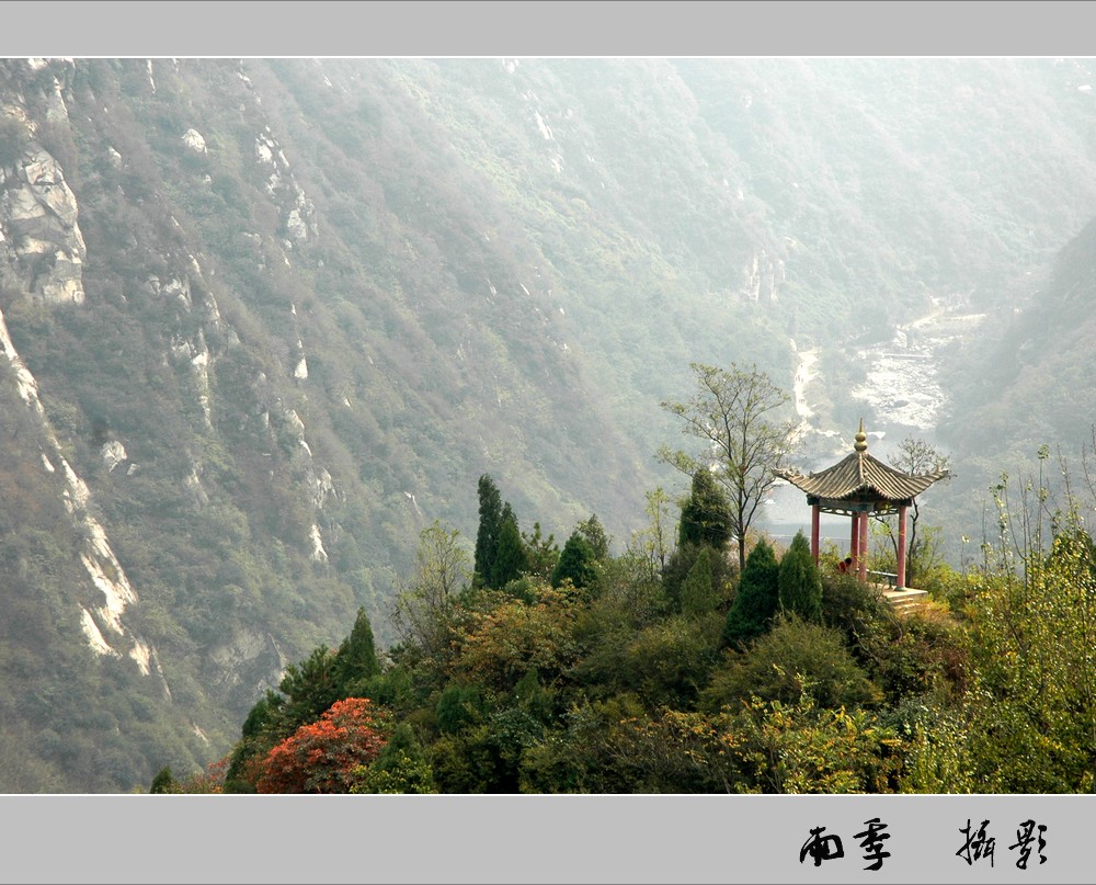 秦岭 摄影 森林雨季