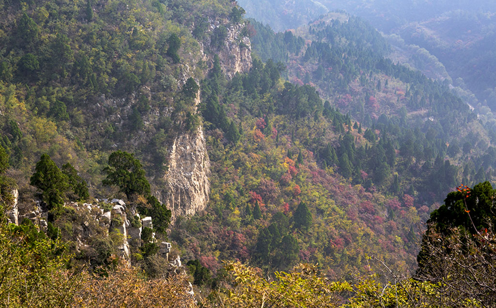 秋染仙台山 摄影 箭飞