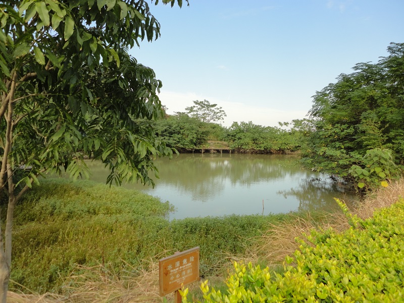 浙江德清市江南湿地下渚湖 摄影 开心天天