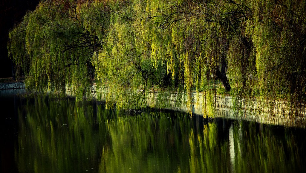 深秋处处皆风景 摄影 老土狼