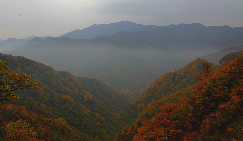 南江光雾山 摄影 冉琦