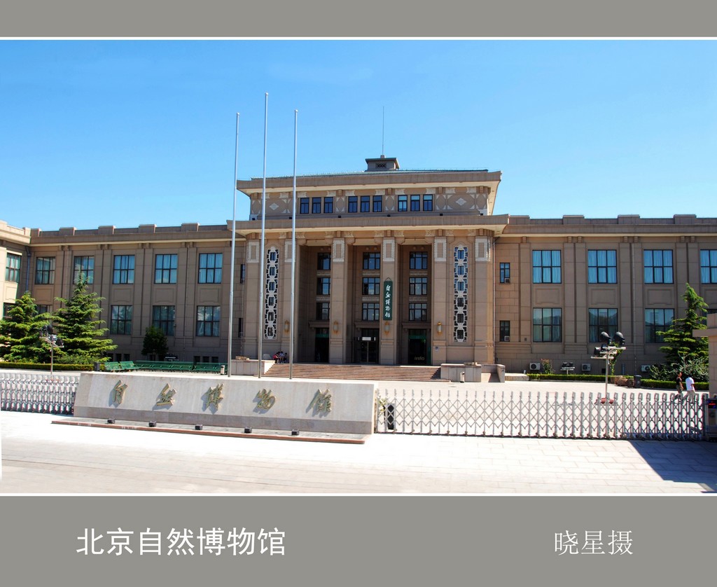 北京自然博物馆 摄影 晓星
