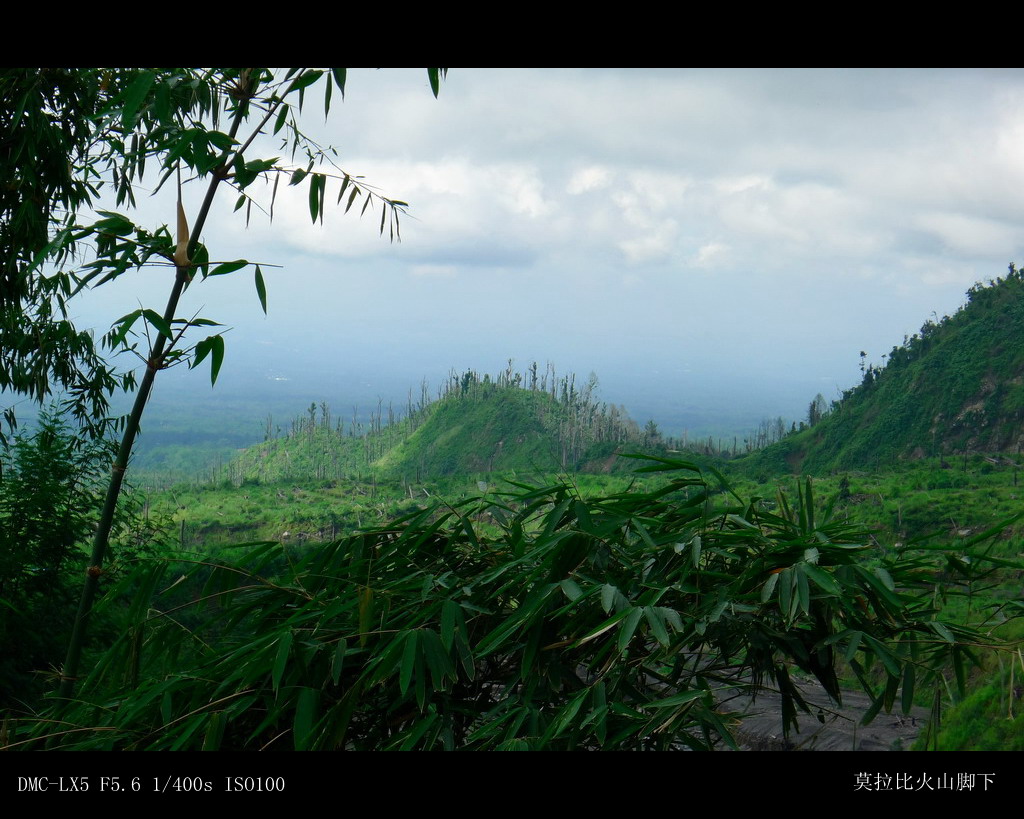 莫拉比火山脚下不息的绿色生命 摄影 积石