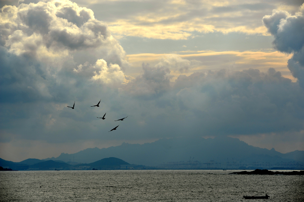 翱翔海空 摄影 好兆头