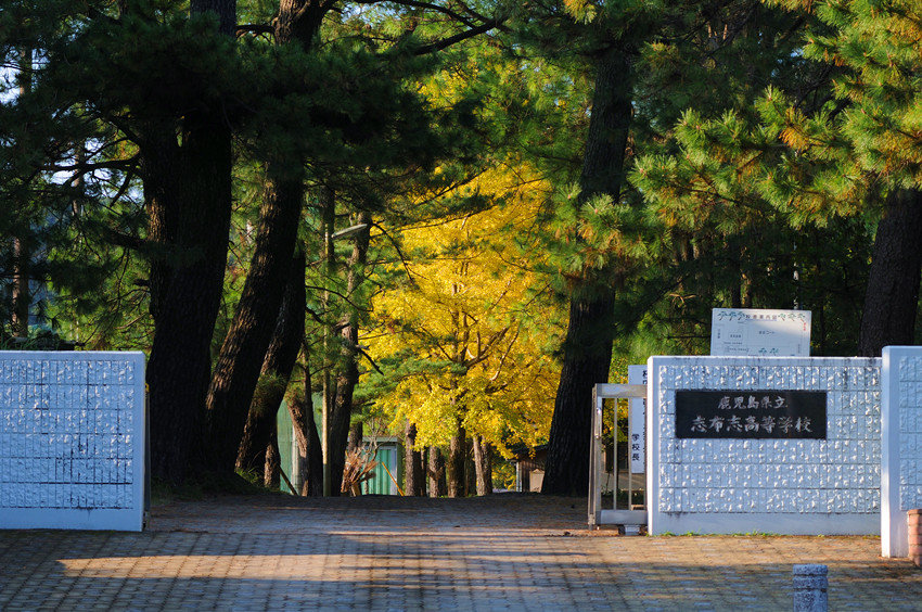 街头随拍 1（日本） 摄影 杰卡徙徒