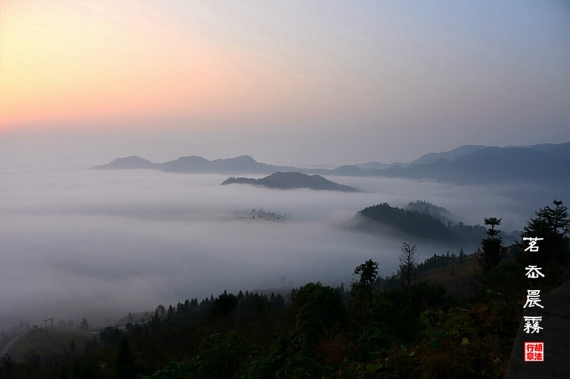 茗岙晨雾 摄影 茗岙老胡