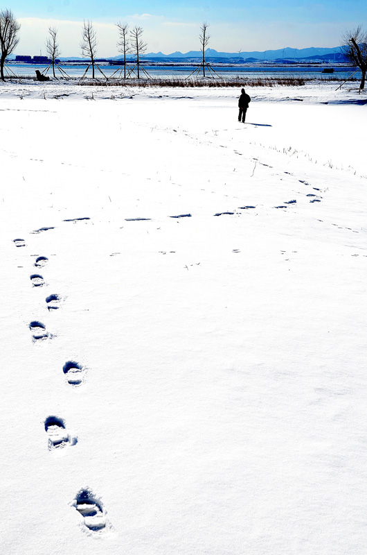 独步雪地 摄影 阿添