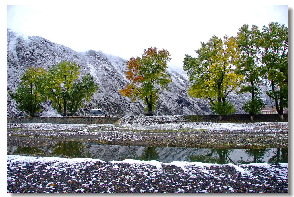 深秋初雪 摄影 叶飘四季