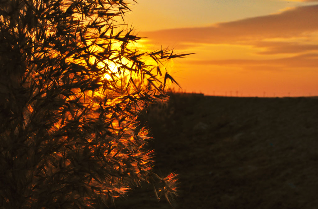 最美夕阳 摄影 燕寻春