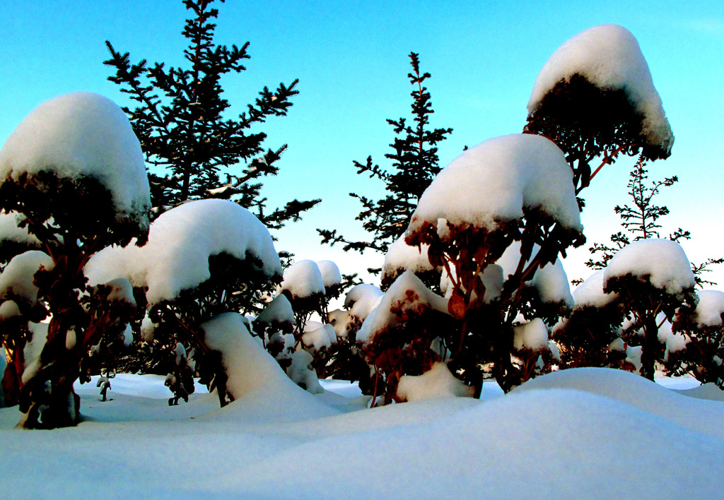 雪韵 摄影 黑水白山