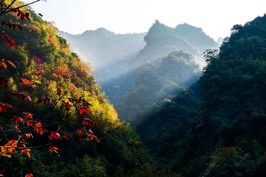 深山秋晨 摄影 拾穗者