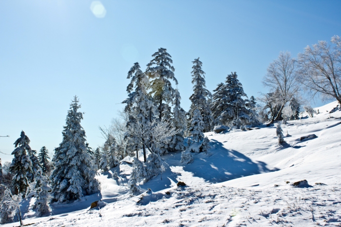 初雪 摄影 白山居士