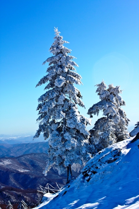 初雪2 摄影 白山居士