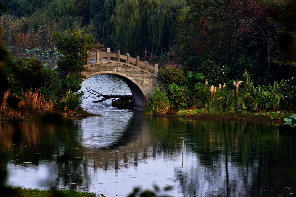 湖畔小景(2) 摄影 新手张