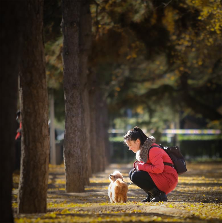 女人与狗 摄影 JIANGYUE