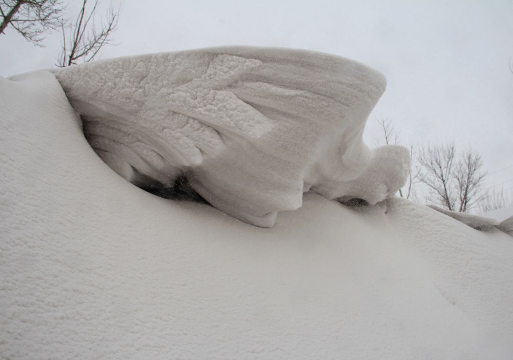 雪瓮 摄影 新不老