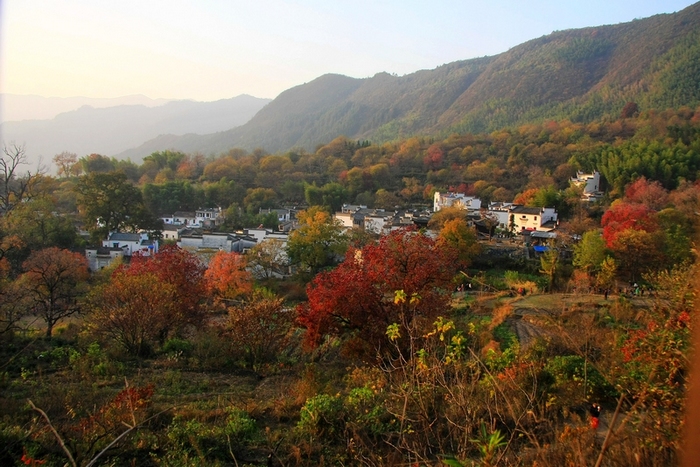 塔川秋色 摄影 大巧若拙