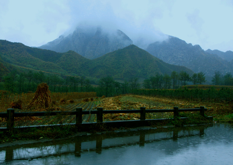 烟雨唱秋 摄影 左岸的梦