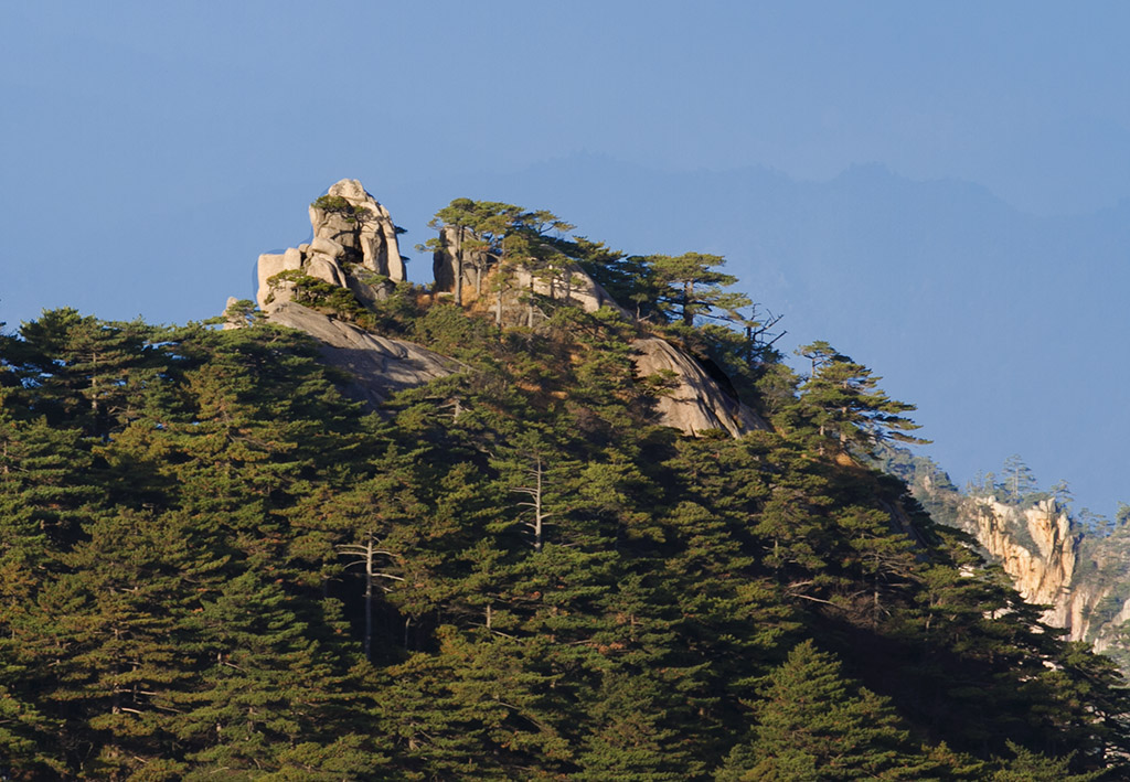 黄山 摄影 箭飞