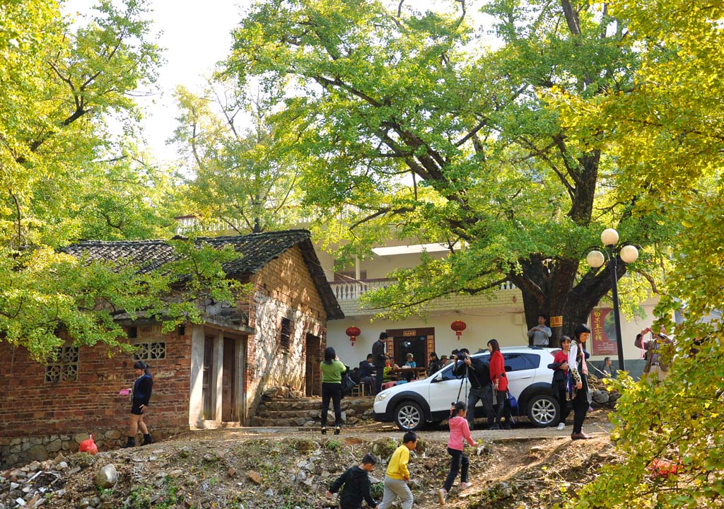 小山村来了远方的客人 摄影 一鸣