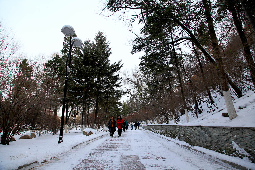 今冬第一场雪7 摄影 xqz