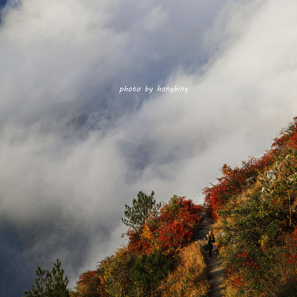 大面山-巫峡 摄影 捍马