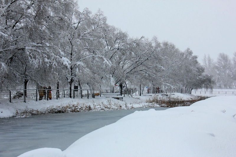 观 雪 摄影 青之