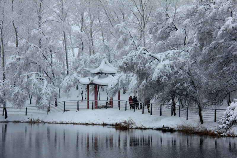 雪 后 摄影 青之