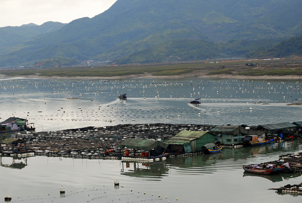 福建霞浦滩涂采风1 摄影 老晨