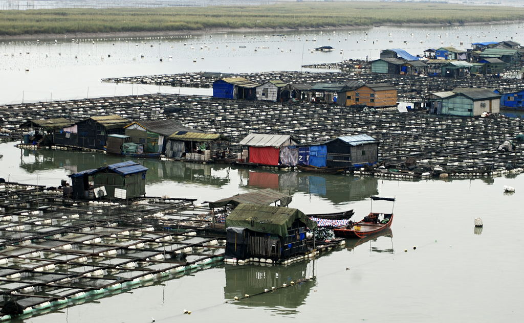 福建霞浦滩涂2 摄影 老晨