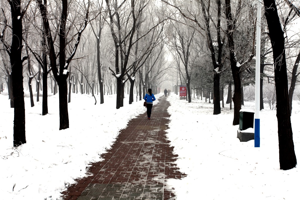 晨雪 摄影 雨沐