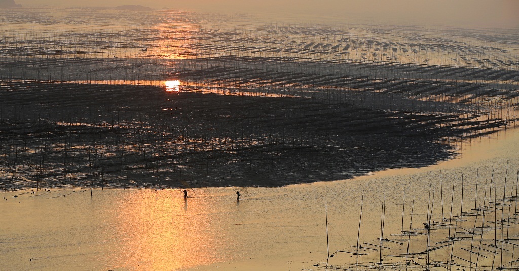 杆影 摄影 夕阳红2007