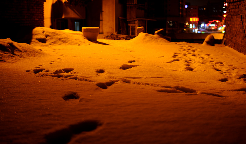 飘雪的黄昏 2 摄影 杰卡徙徒