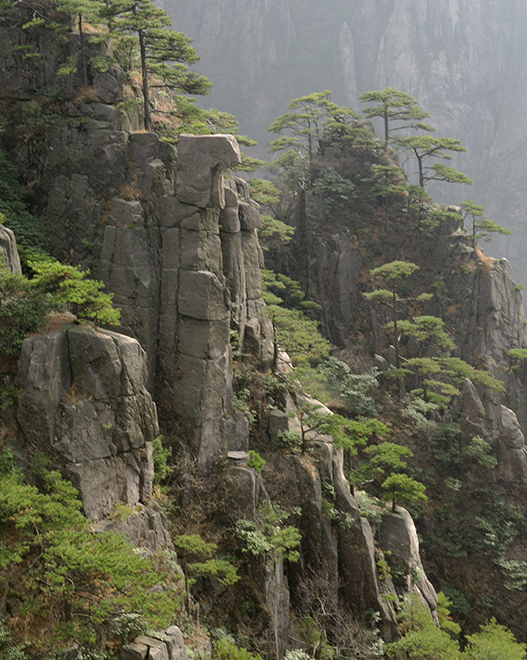 黄山（仙人晒靴） 摄影 箭飞