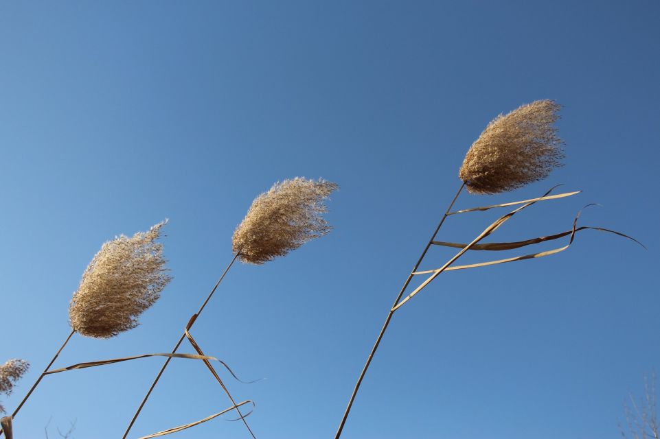 想飞 摄影 定通村颈腰椎