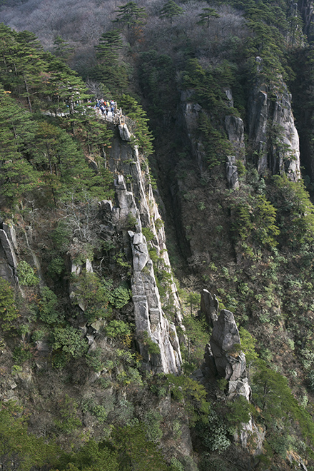 黄山 摄影 箭飞