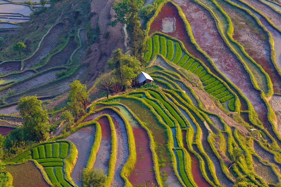 家园 摄影 佛山一凡