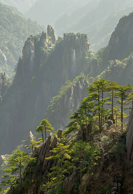 黄山 摄影 箭飞