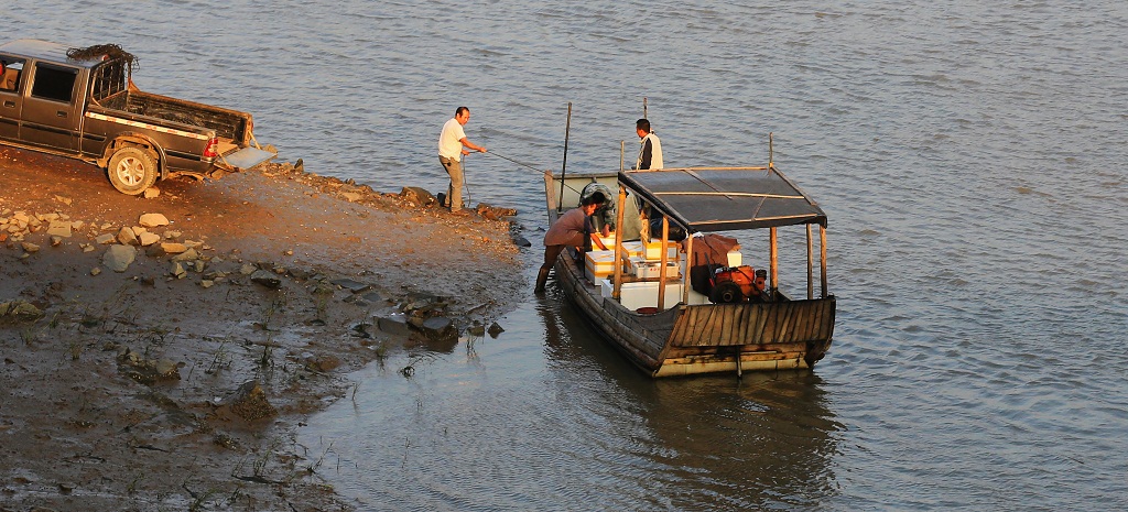 能赚钱，不白忙！ 摄影 夕阳红2007