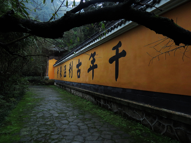 重庆温泉寺 摄影 大.卫