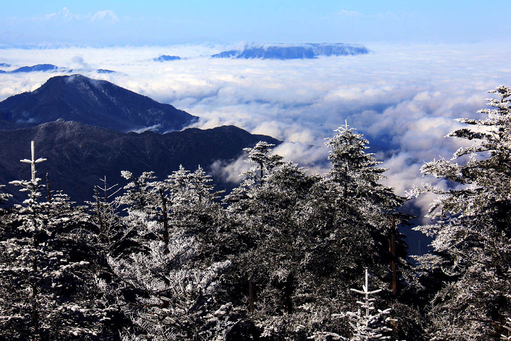 峨眉初雪（7） 摄影 漫卷西风