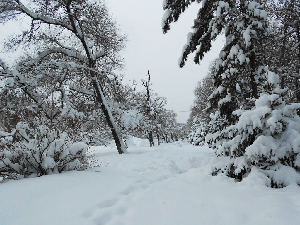 第一场大雪啊 摄影 深水无澜