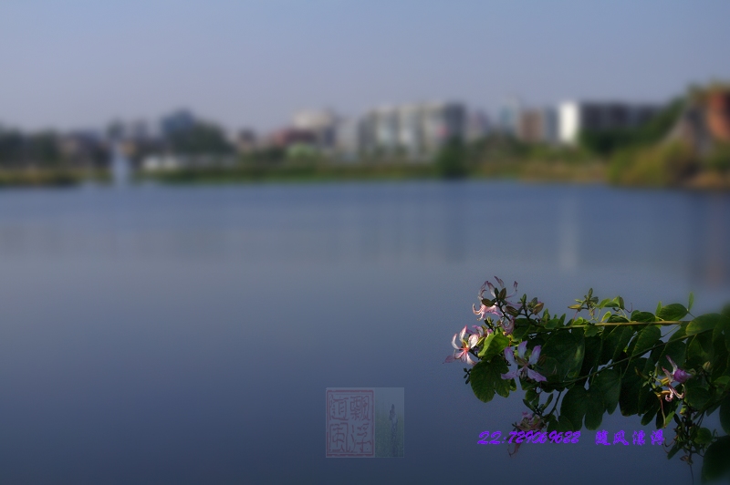 花都湖 摄影 随风飘浮